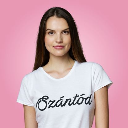Picture of BALATON // Lady T-shirt